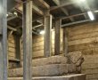 גרם מדרגות בן 2000 שנה נחשף בעיר דוד 