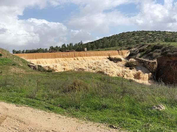 צילום: רמי צליק