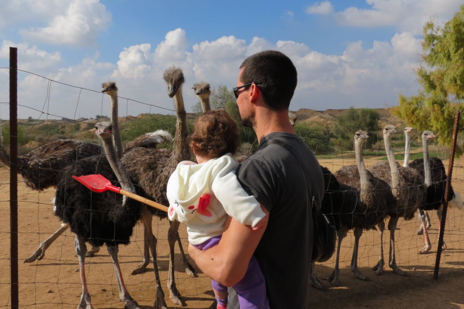 חוות אל היען. צילום: יחצ