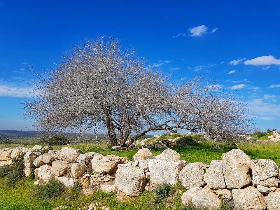 חורבת לויה - צילום אלדה נתנאל