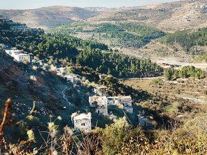 עמק הארזים ירושלים במצפה מפתוח צילום: פלאש 90