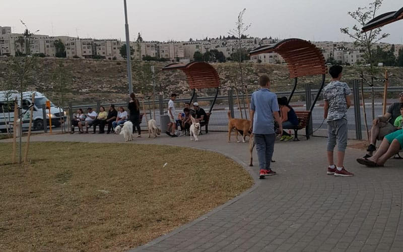 תמונה: מתחם לשחרור כלבים בגן בפסגת זאב. קרדיט: מחלקת הגננות והנוף בעיריית ירושלים