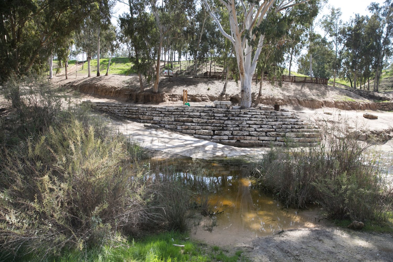 נחל גרר. צילום: דייגו מיטלברג