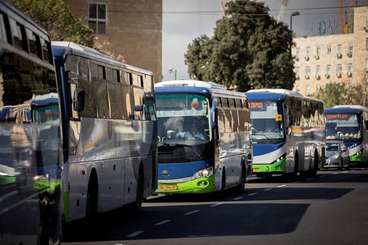 צילום: יונתן זינדל, פלאש 90 צילום: יונתן זינדל, פלאש 90