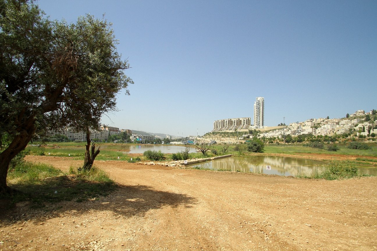 עמק הצבאים. צילום: ארנון בוסאני 