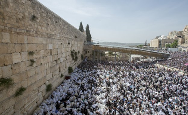 צילום: פלאש 90 צילום: פלאש 90