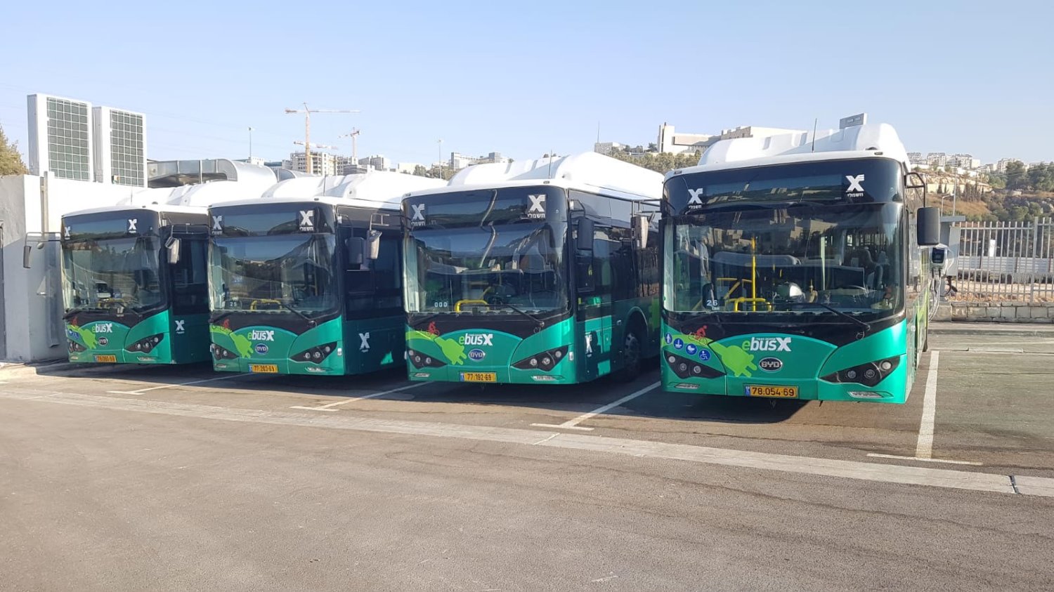 צילום: המשרד להגנת הסביבה צילום: המשרד להגנת הסביבה
