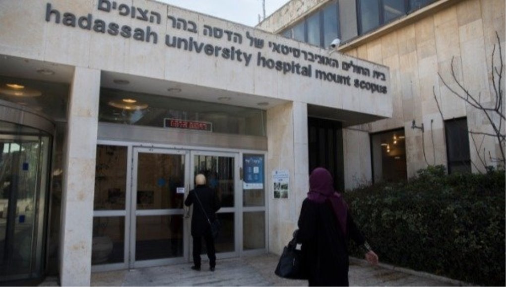 ביה"ח הדסה הר הצופים. צילום: פלאש 90 ביה"ח הדסה הר הצופים. צילום: פלאש 90