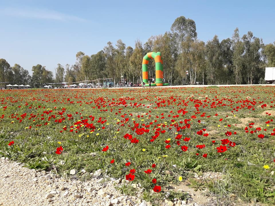 צילום רפי ביבאן