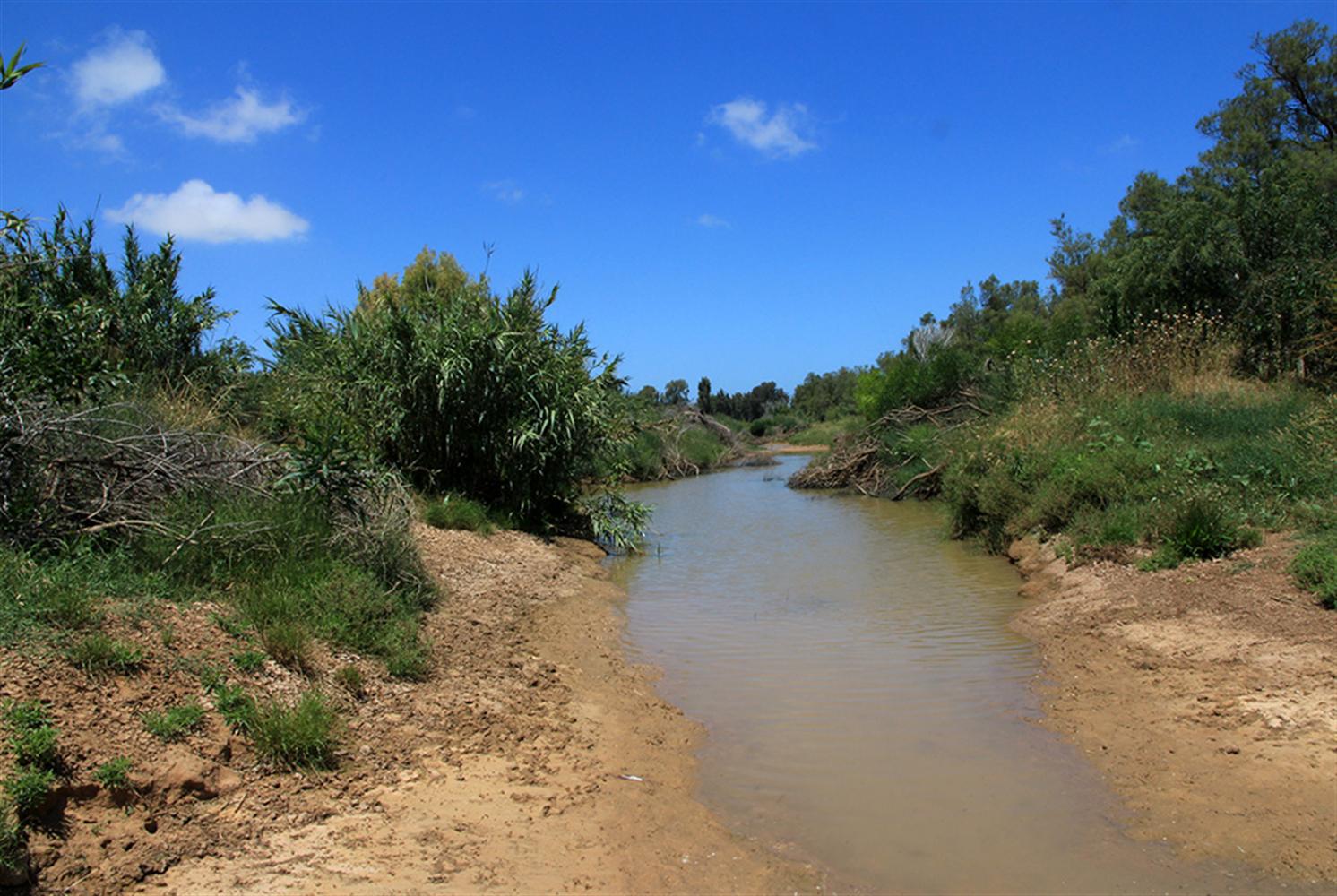 צילום יעקב שקולניק