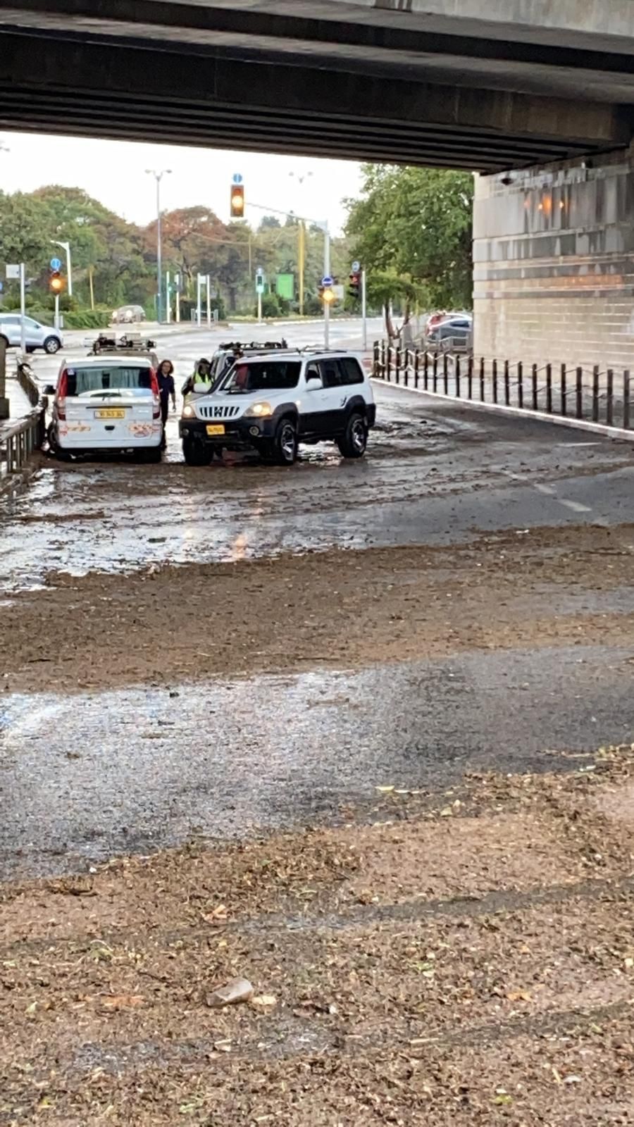 צילום: דוברות המשטרה