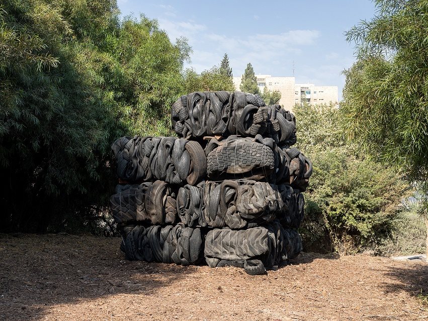 בחזרה אל הטבע. ציבי גבע. צילום: אלעד שריג 