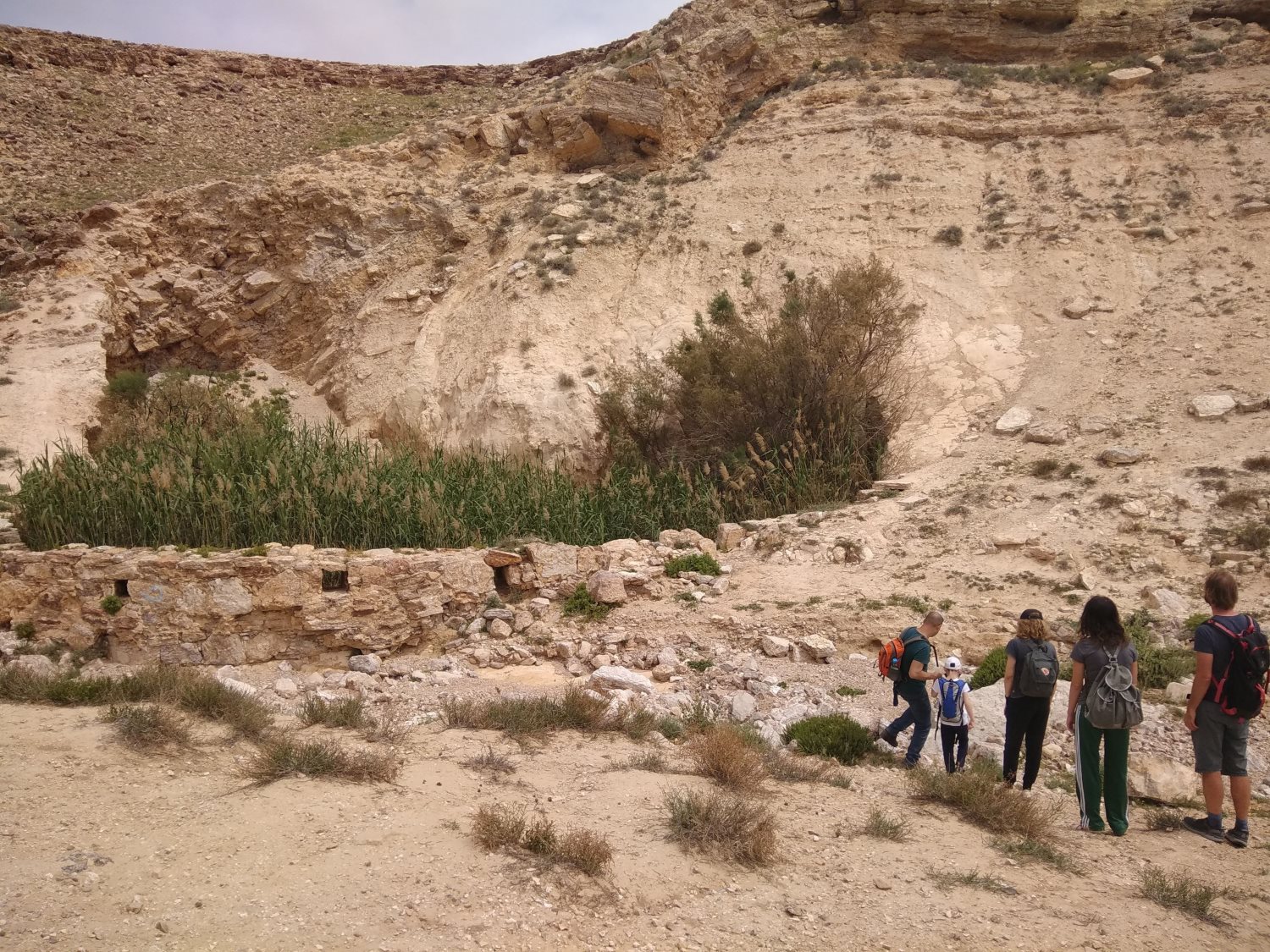 ארבע בורות, קרדיט-ענבל ארזי