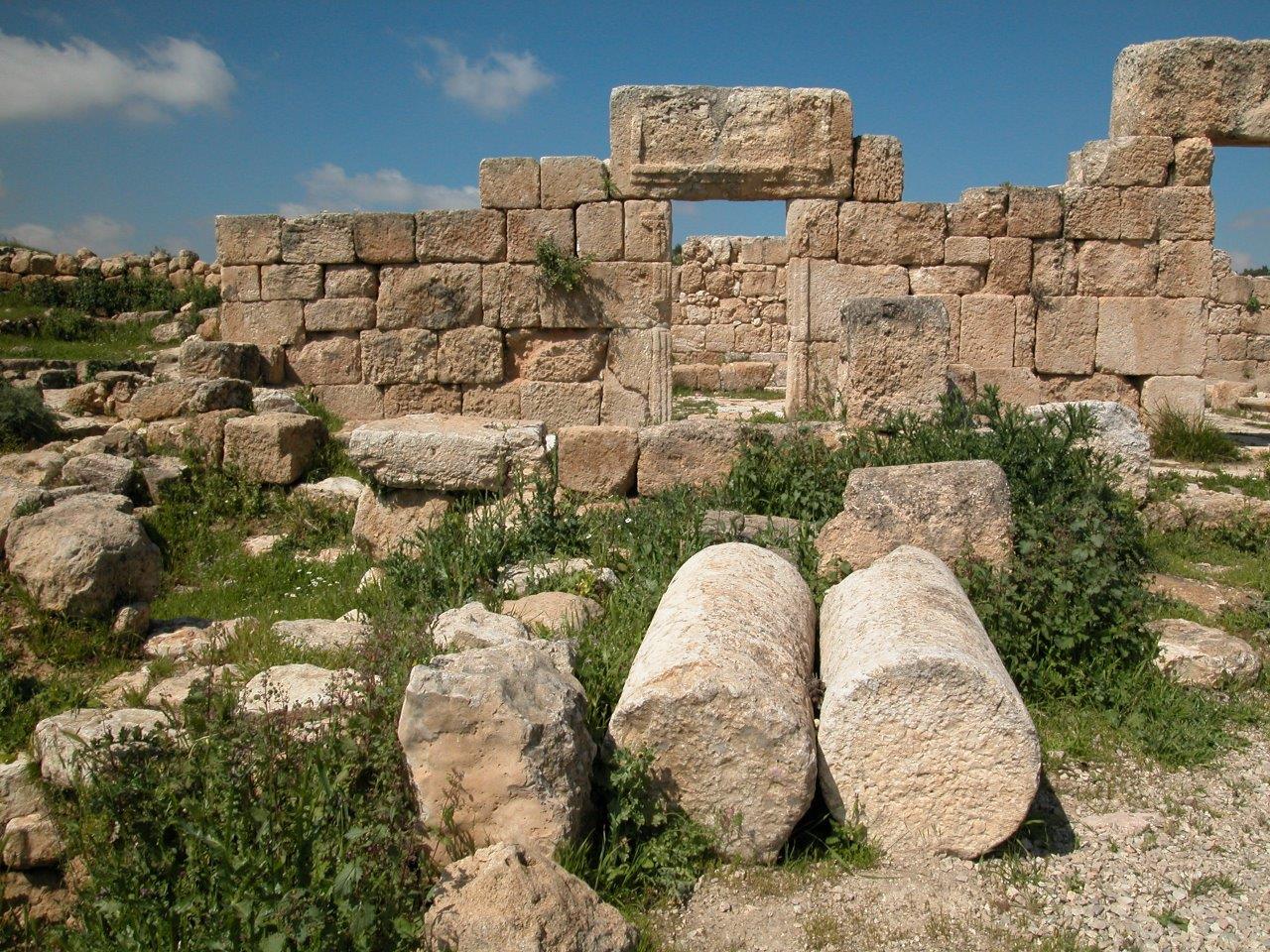 יער יתיר צילום קק&quot;ל 