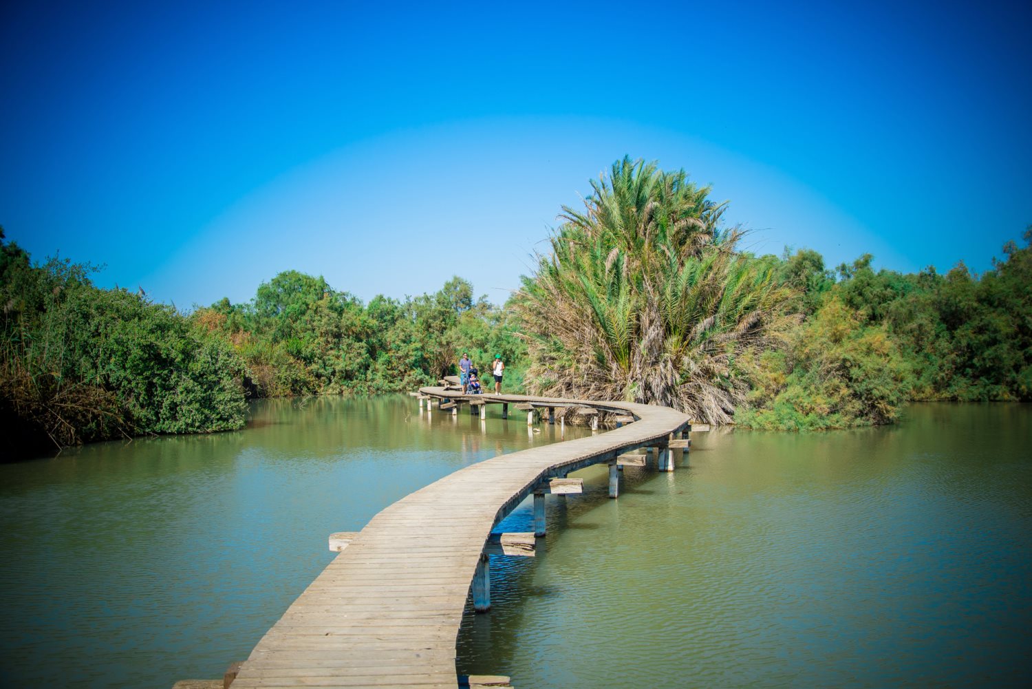 שמורת טבע עין אפק צילום מנו גרינשפן