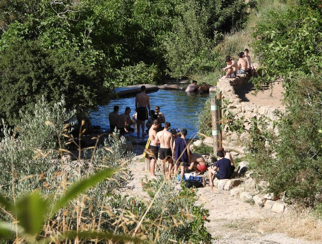 צילום: דב גרינבלט, החברה להגנת הטבע