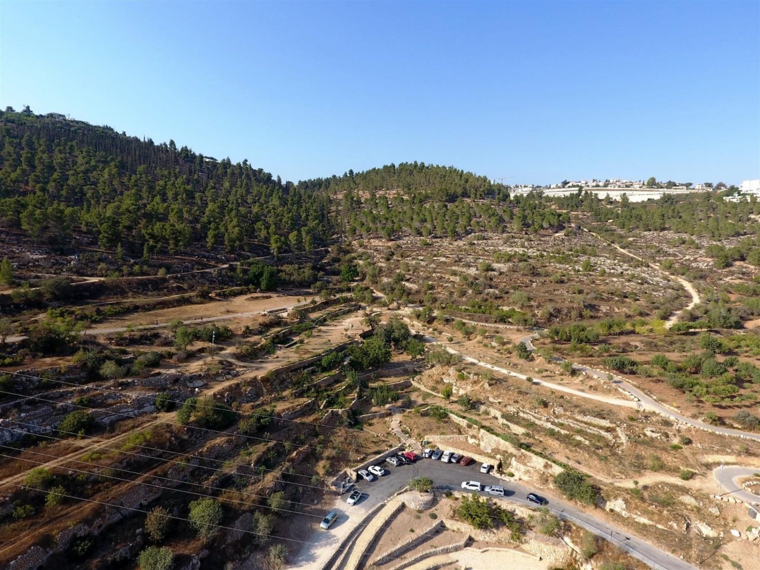 רכס לבן: צילום: דב גרינבלט, החברה להגנת הטבע