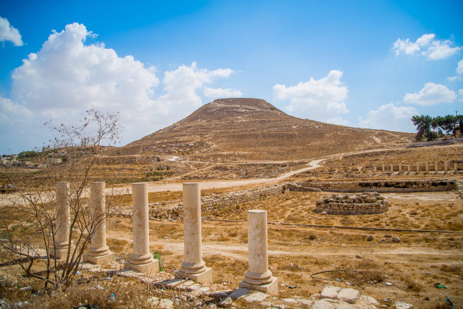 הגן הלאומי ההרודיון. צילום: מנו גרינשפן הגן הלאומי ההרודיון. צילום: מנו גרינשפן