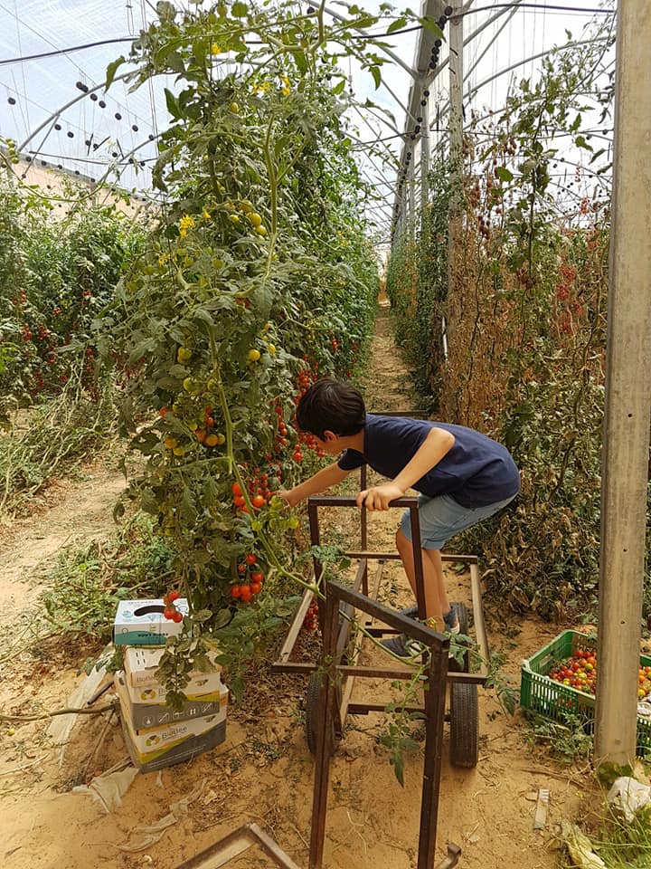 קרדיט ישי כהן, ישי כהן השומר החדש, תות ברנע, מרחב בריחה בטבע