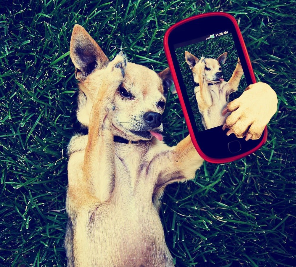 depositephoto