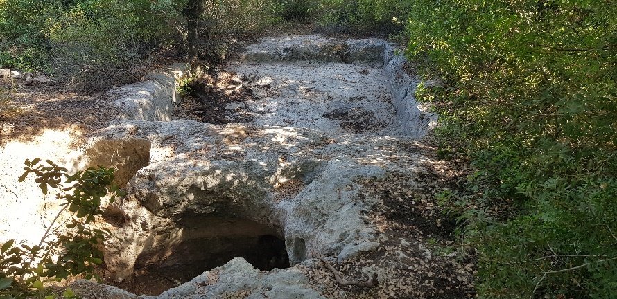 קרדיט- רועי אבוחצירא, מערך הסברה של קק"ל