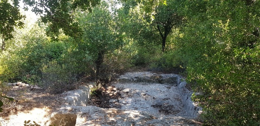 קרדיט- רועי אבוחצירא, מערך הסברה של קק"ל