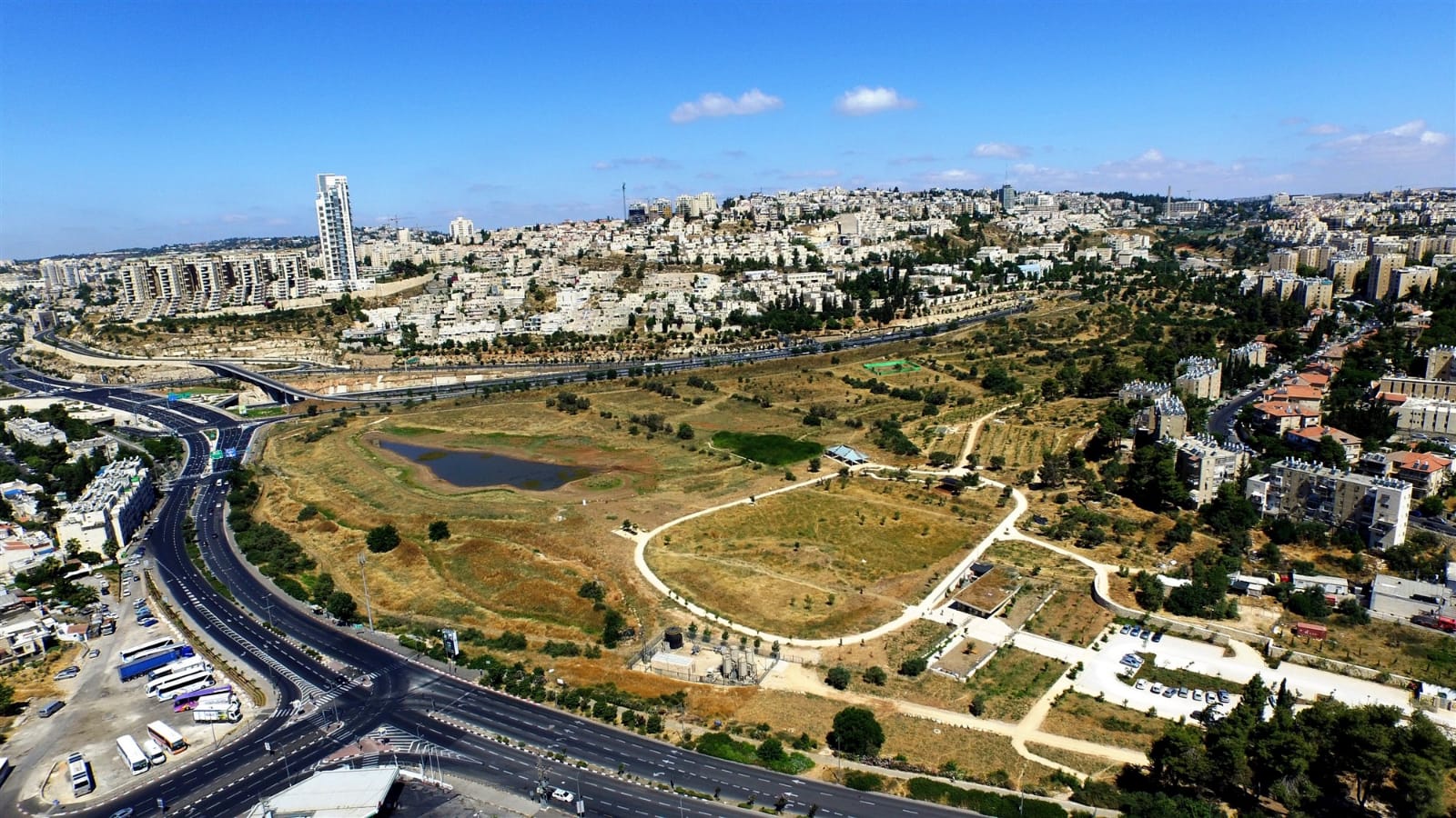 דב גרינבלט, החברה להגנת הטבע