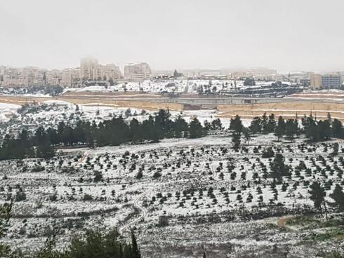 (צילום: דודו בן אור רשות הטבע והגנים)