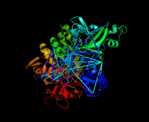 חלבון Nsp2 (צילום: ד"ר דינה שניידמן, האוניברסיטה העברית)