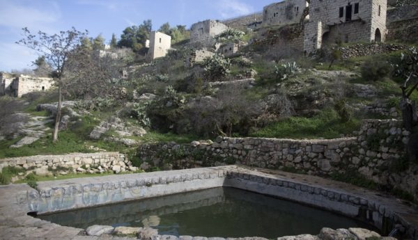 צילום: פלאש 90. ליאור מזרחי צילום: פלאש 90. ליאור מזרחי