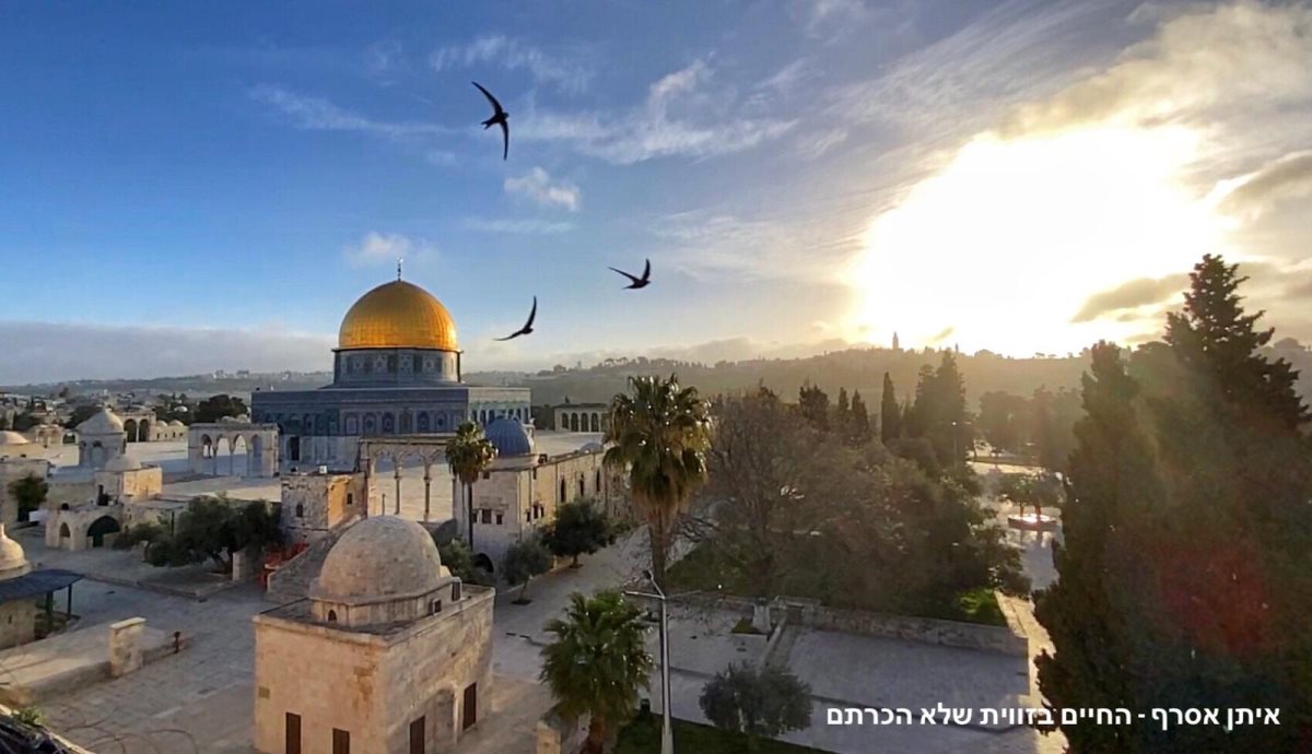 ירושלים כפי שלא ראיתם מעולם. צילום: איתן אסרף