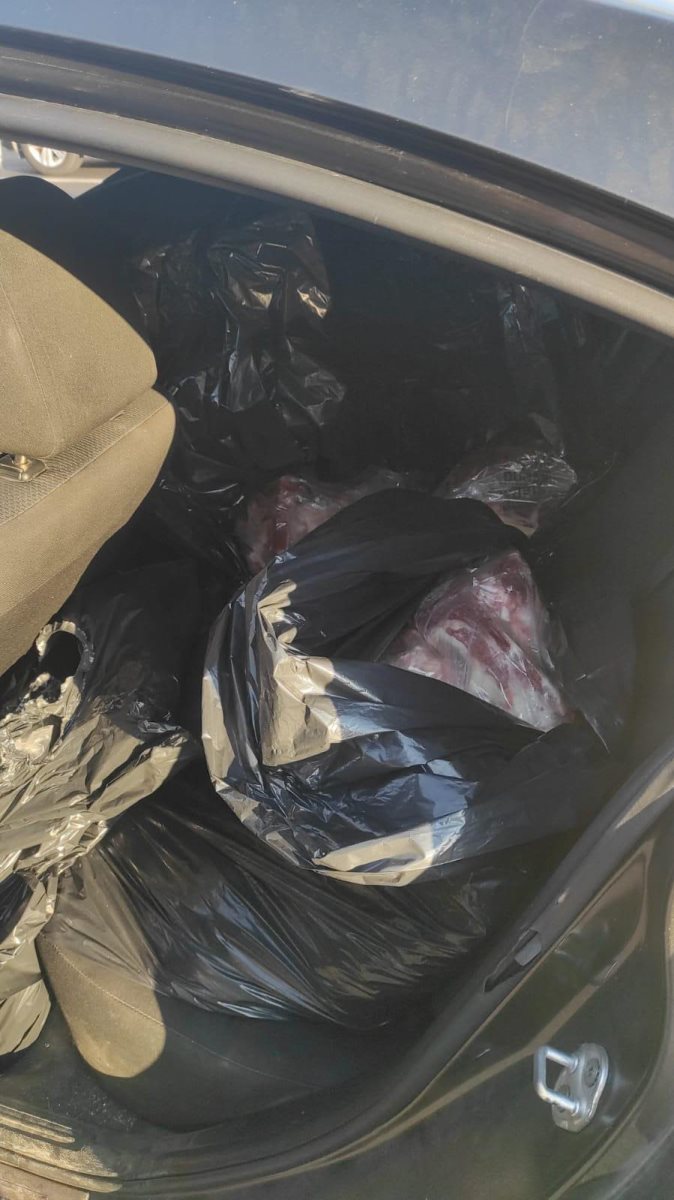 צילום: דוברות המשטרה