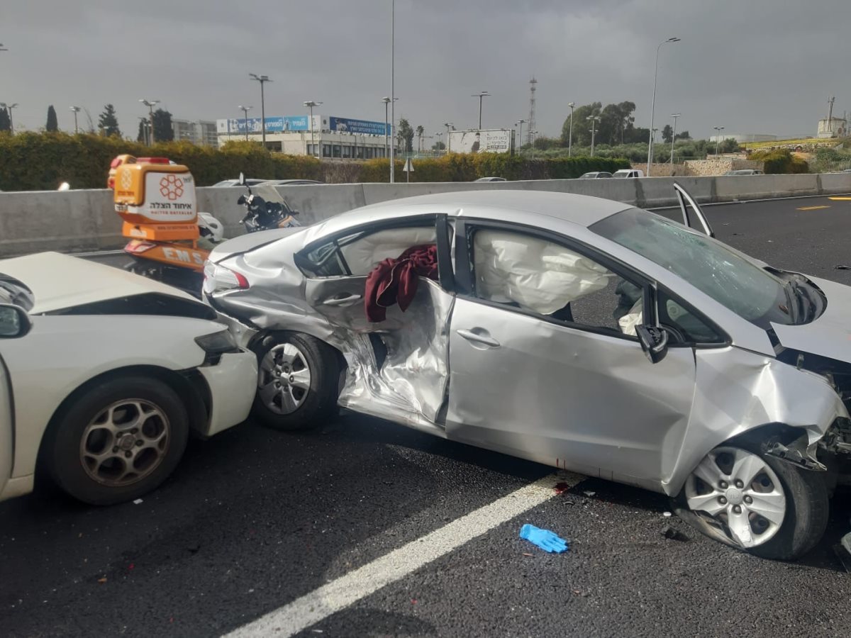 צילום: עמותת אור ירוק צילום: עמותת אור ירוק