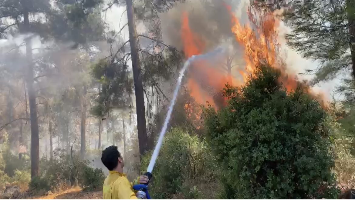 צילום: דוברות כבאות והצלה צילום: דוברות כבאות והצלה