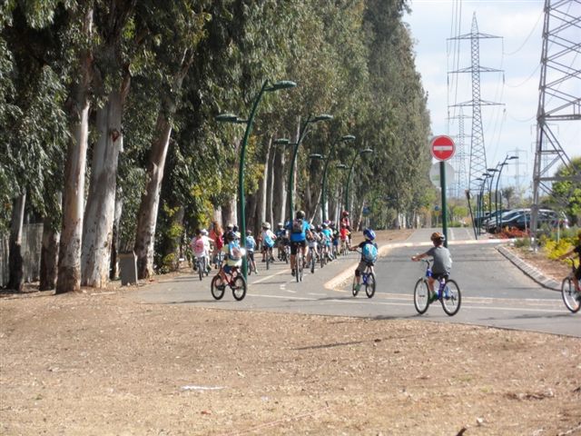 צילום: עמותת אור ירוק