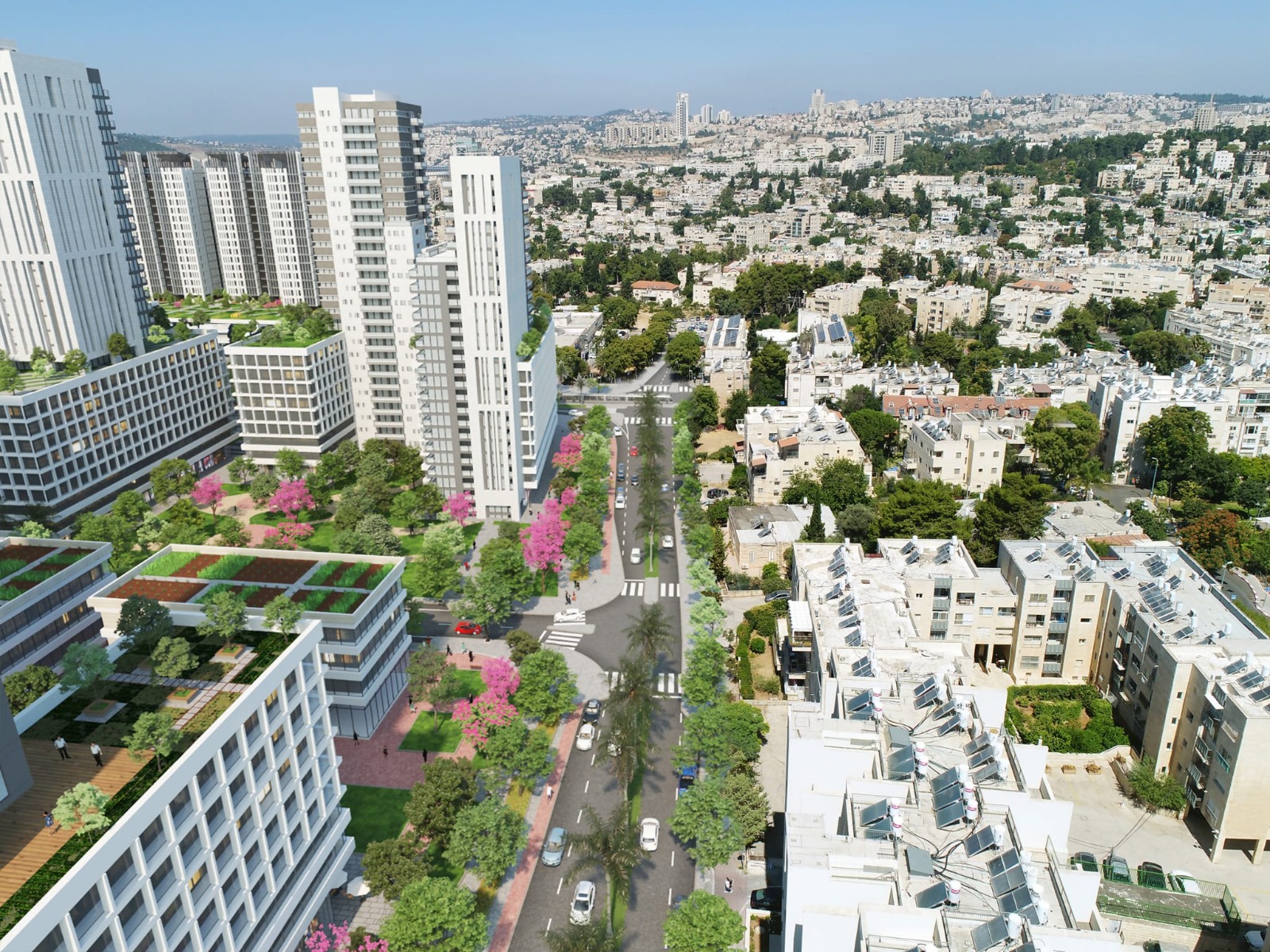 תכנית בתלפיות – מולכו אדריכלים