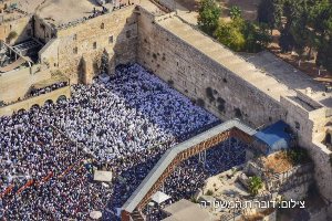 צילום: דוברות המשטרה 