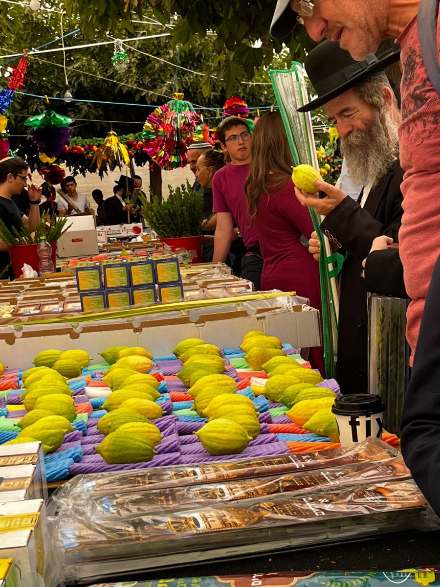 צילום: דוברות עיריית ירושלים 