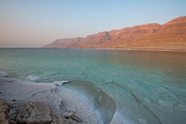 צילום: איה בן עזרי - תוכן שיווקי