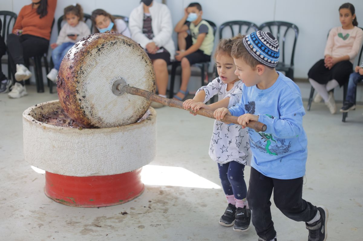 פסטיבל שמן זית צילום אילון מלילנקוב