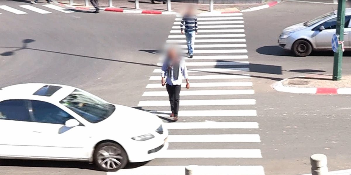 צילום: עמותת אור ירוק צילום: עמותת אור ירוק