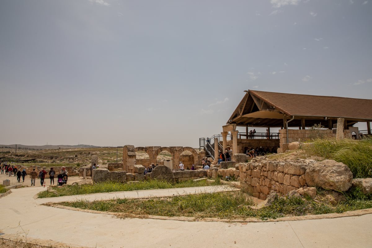 סוסיא הקדומה צילום נעה זילברמן