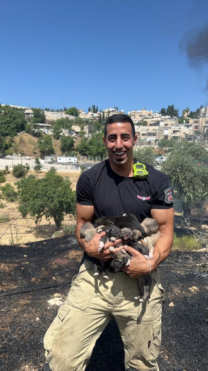 צילום: תיעוד מבצעי כב"ה מחוז ירושלים צילום: תיעוד מבצעי כב"ה מחוז ירושלים