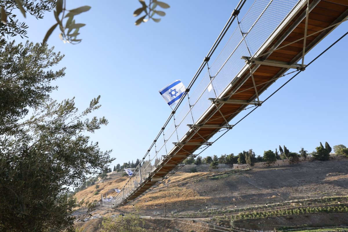 צילום: ארנון בוסאני 