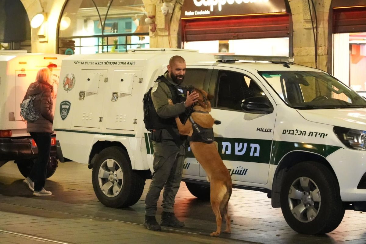 צילום: דוברות המשטרה