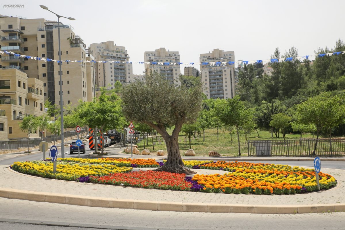 צילום: ארנון בוסאני