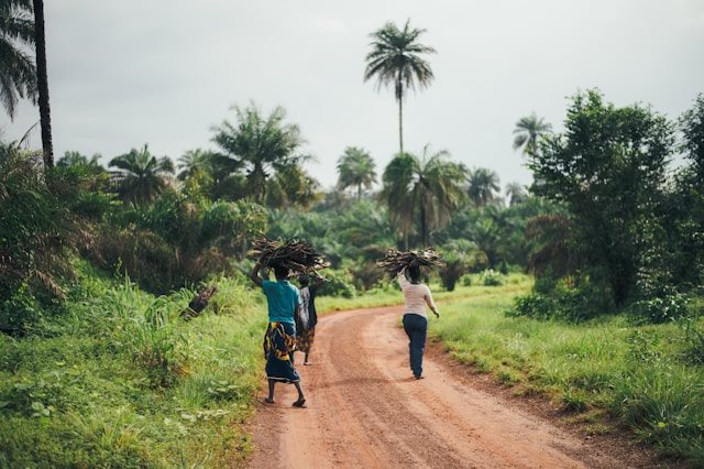 Photo by Annie Spratt on Unsplash