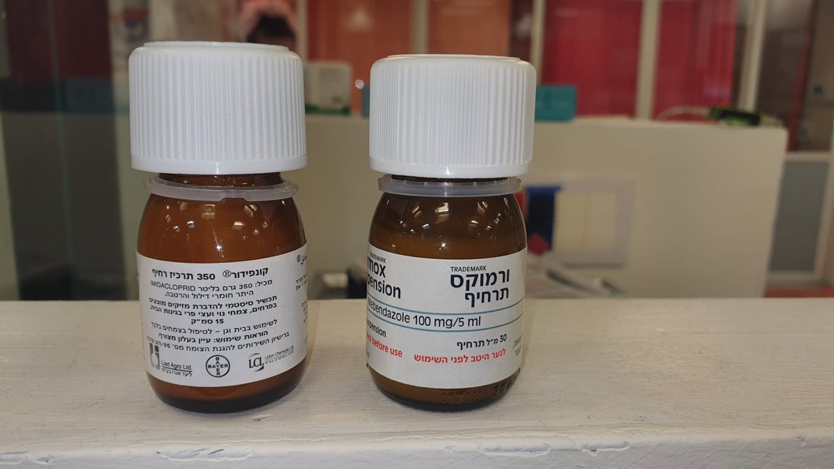 צילום: שערי צדק צילום: שערי צדק