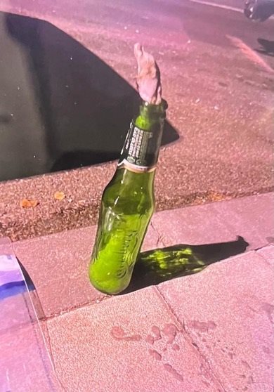 צילום: דוברות משטרה צילום: דוברות משטרה