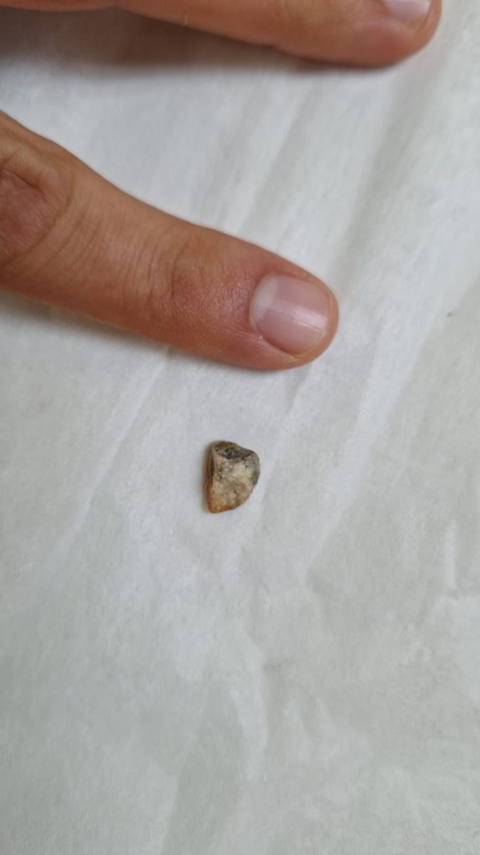 צילום: דוברות שערי צדק צילום: דוברות שערי צדק